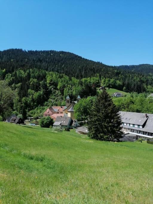 Ferienwohnung Schwarzwaldblick 巴特里坡德索西坡 外观 照片