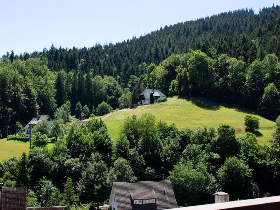 Ferienwohnung Schwarzwaldblick 巴特里坡德索西坡 外观 照片