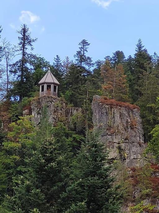 Ferienwohnung Schwarzwaldblick 巴特里坡德索西坡 外观 照片