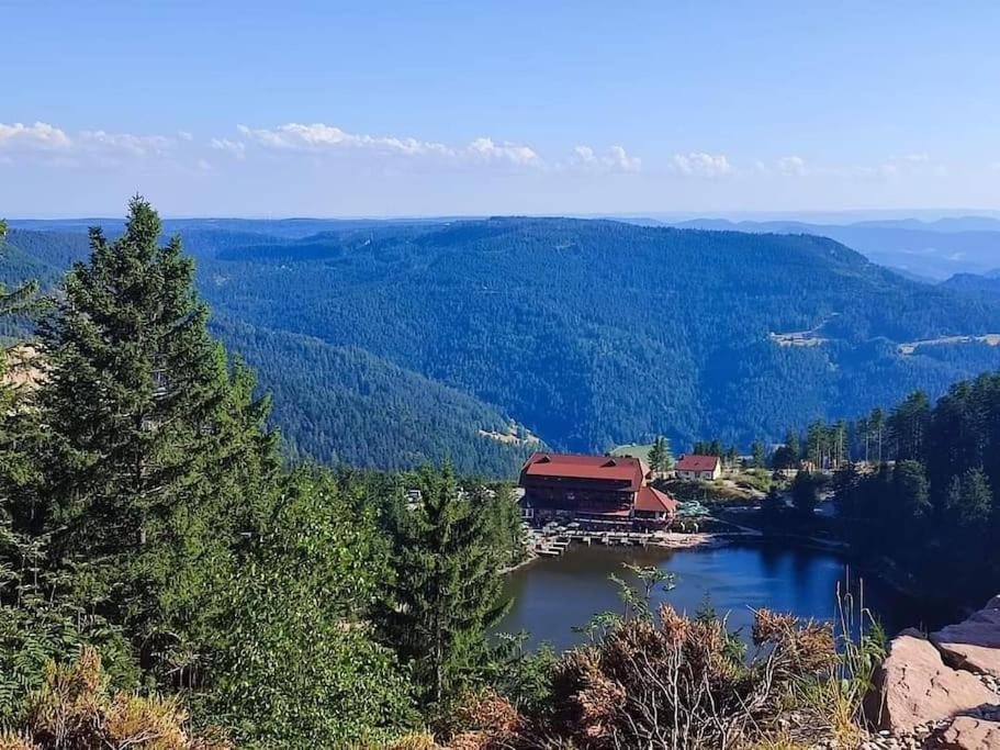 Ferienwohnung Schwarzwaldblick 巴特里坡德索西坡 外观 照片