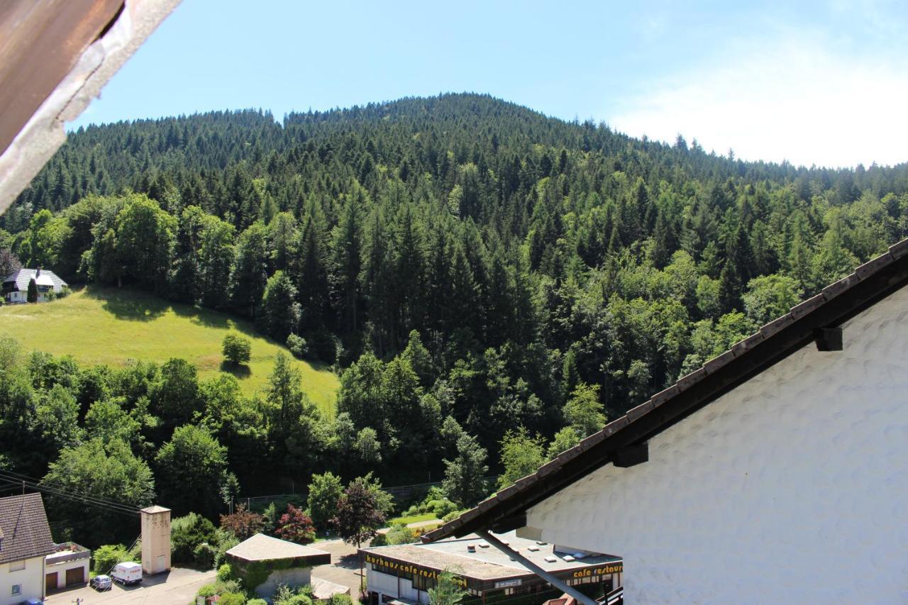 Ferienwohnung Schwarzwaldblick 巴特里坡德索西坡 外观 照片