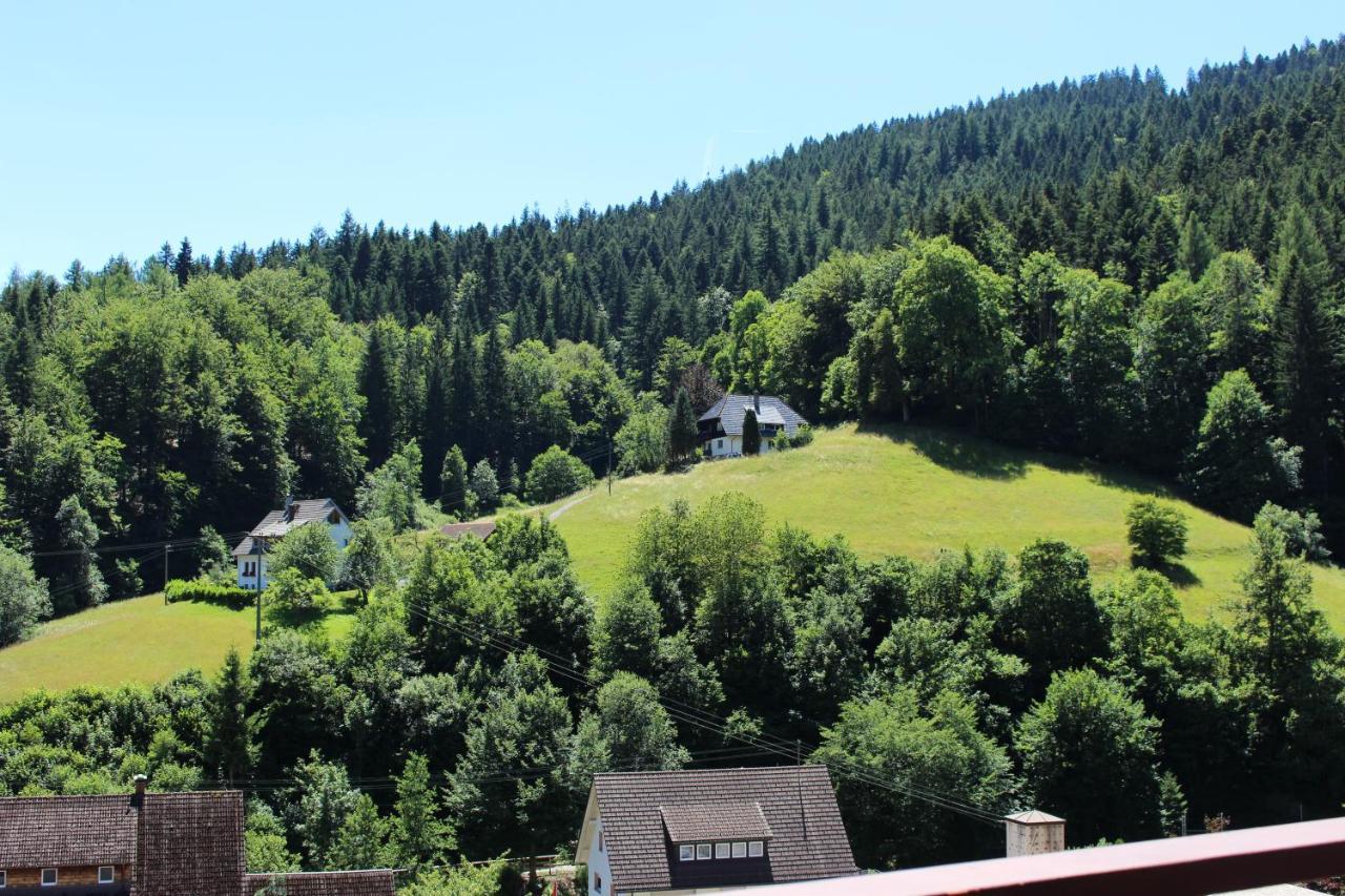 Ferienwohnung Schwarzwaldblick 巴特里坡德索西坡 外观 照片